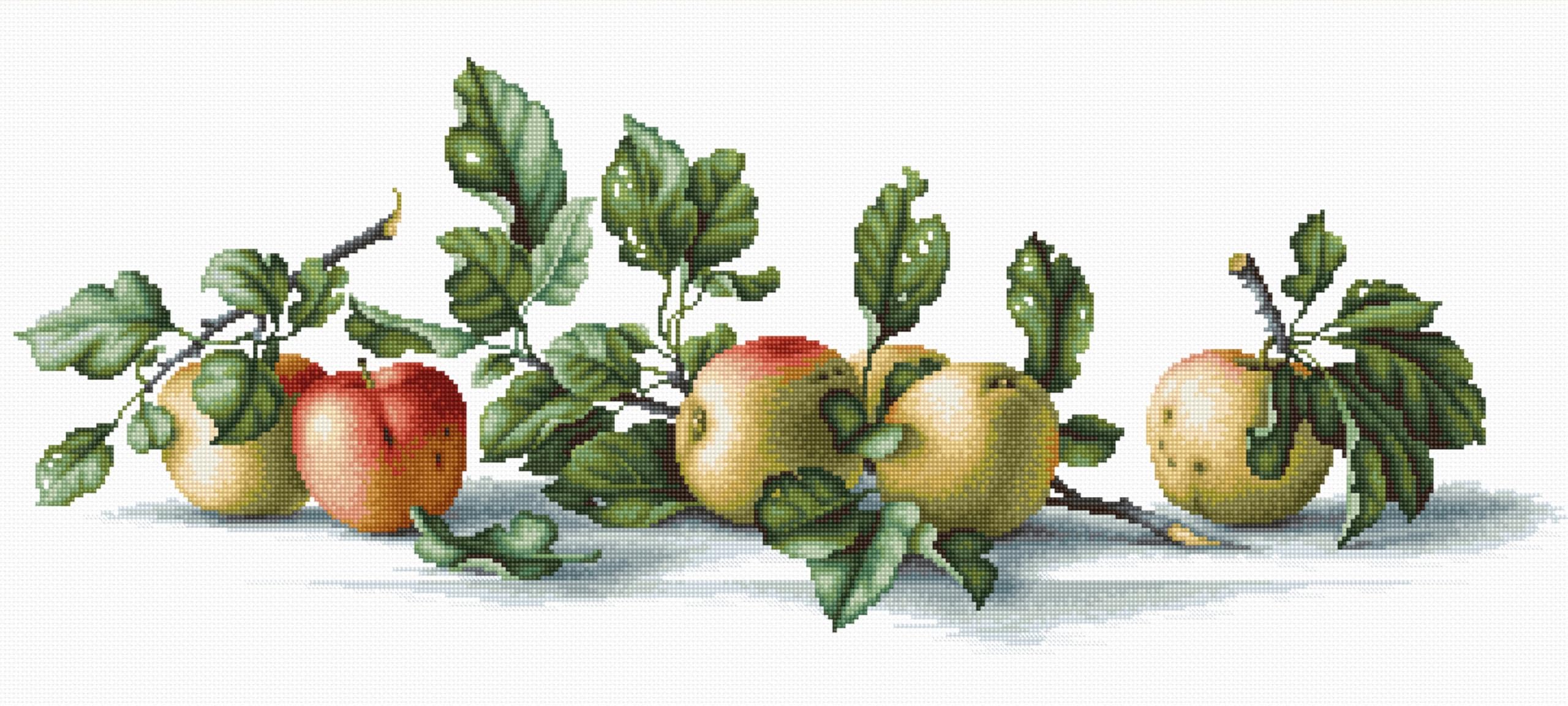 Lucas Multi-Colour Luca-S Apples Counted Cross Stitch Kit, Pack Of 1