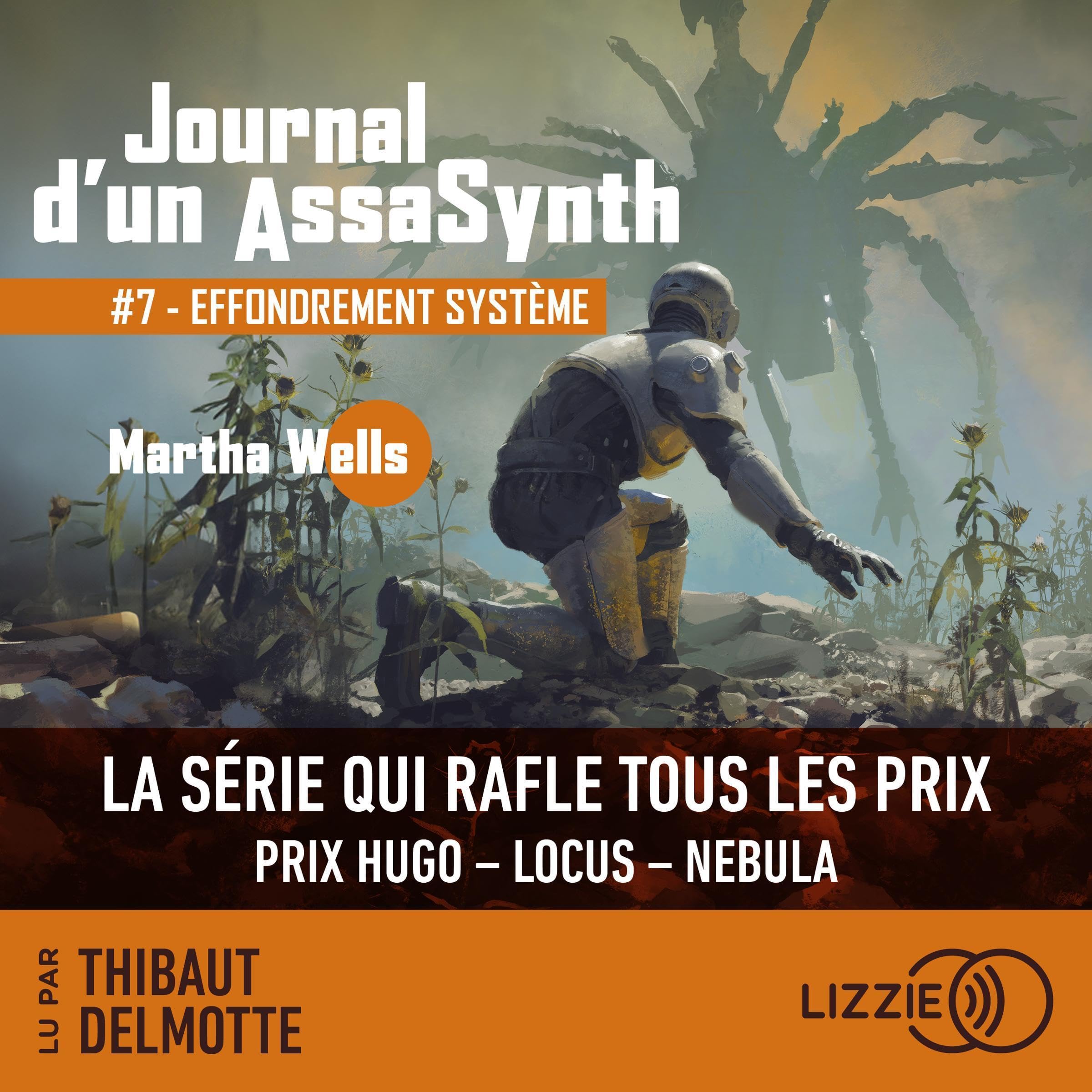 Cover art for Effondrement système