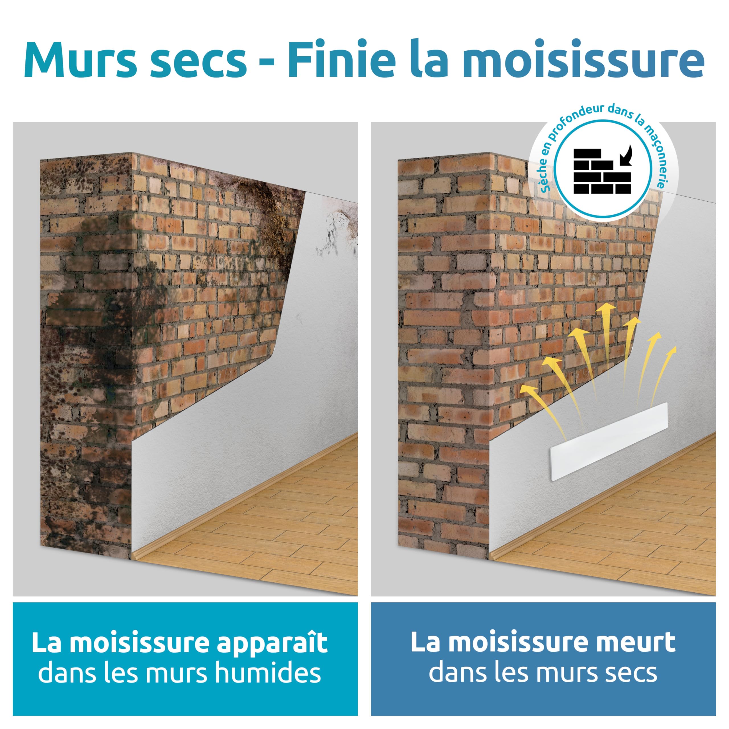 ELIAS Dissolvant de moisissure Basic Plus Module d'extension – Dissolvant magique sans produits chimiques – Alternative à chaque spray de moisissure ou peinture blanche pour n'importe quelle pièce