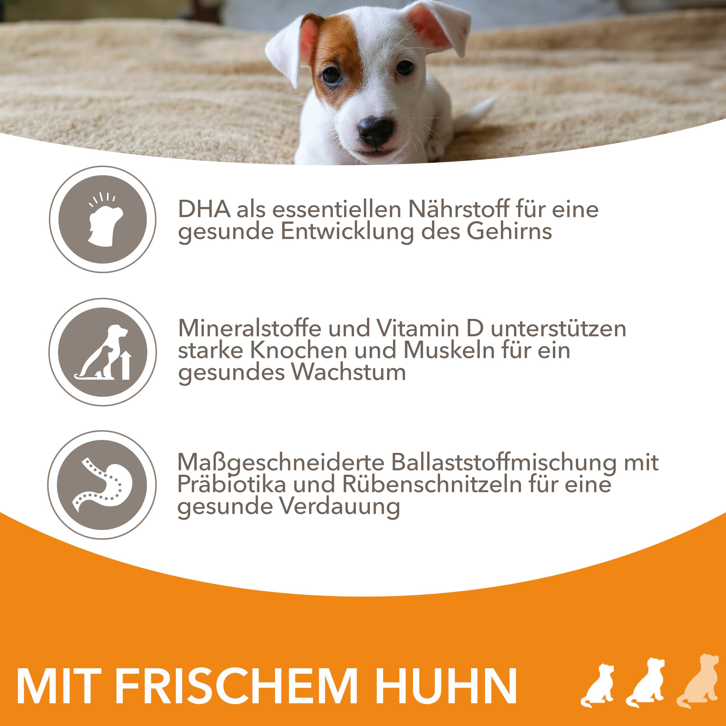 IAMS Welpenfutter trocken mit Huhn für kl. & mittelgroße Rassen, 12kg | Trockenfutter | für Welpen | für Junior Hunde | im Alter von 1-12 Monaten | für kleine & mittelgroße Rassen