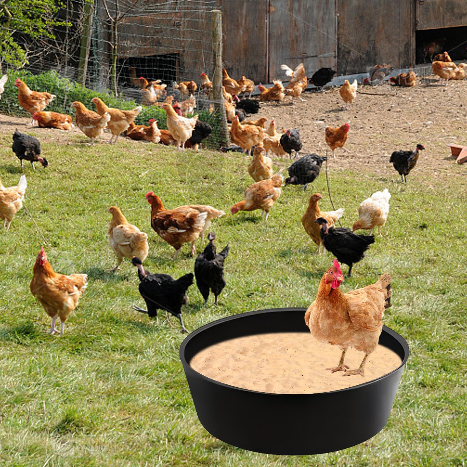 Baignoire De Sable pour Poulailler: 25 X 5,9'' Bain De Poussière pour Poules, Construction sans Fond, Réglable Bain De Poussière De Poulet avec 6 Clous pour Canards, Poulets