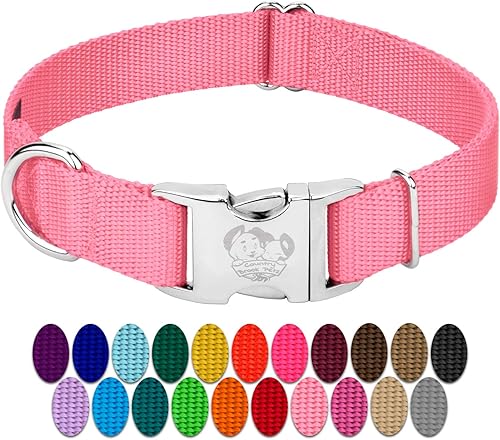 Country Brook Petz  Collar de nailon premium para perro con hebilla de metal  Vibrante selección de 25 colores, Rosado