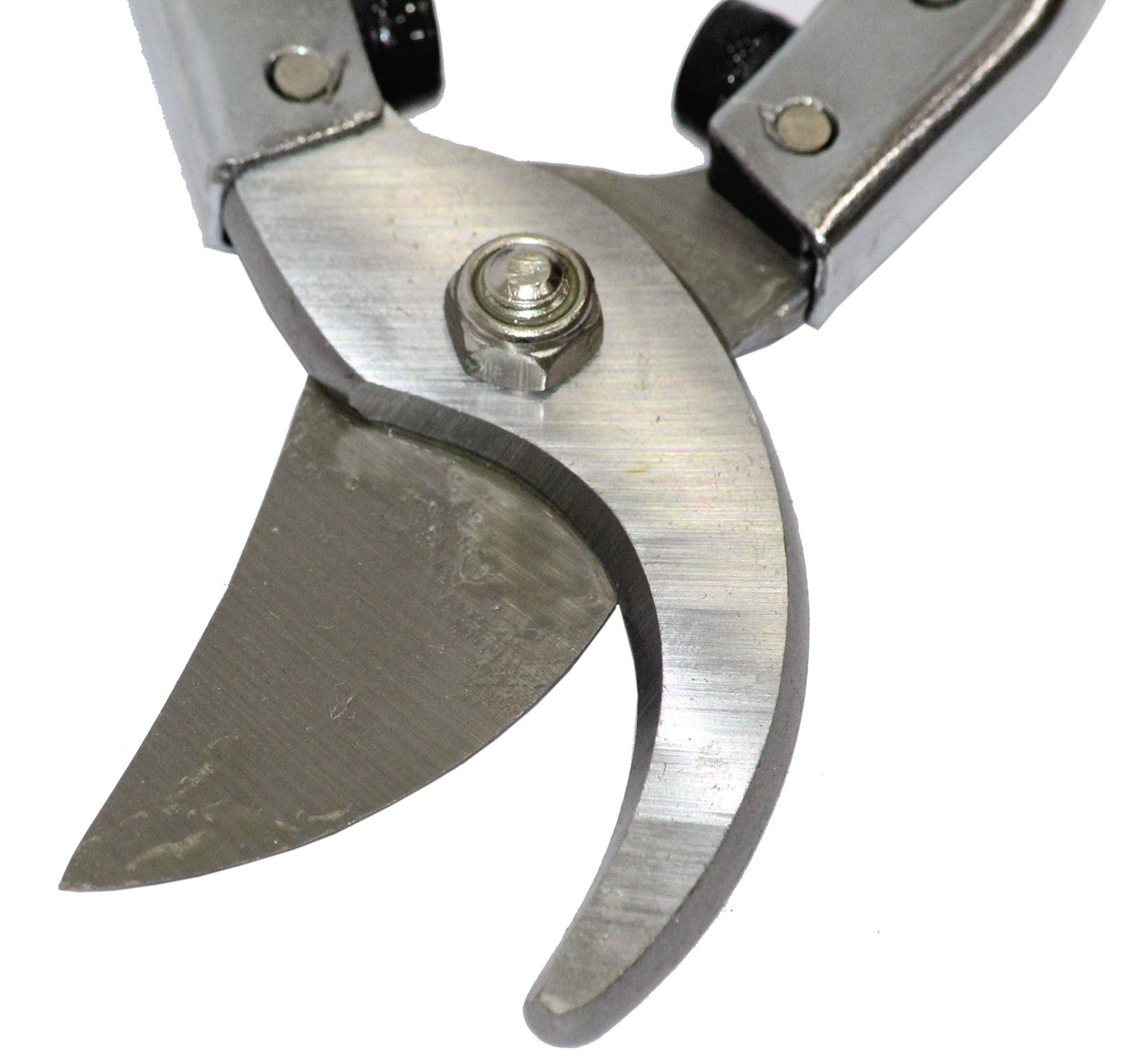Digital Craft Stainless Steel Garden Shears Pruning Scissors – Bonsai Cutting Tool, Flower Cutter, Plant Trimmer, Secateurs for Branch & Stem, Plant Pruner for Home Gardening - Image 4 thumbnail
