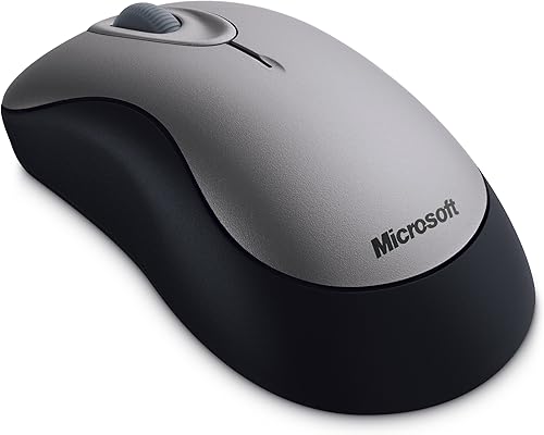 Microsoft Ratón óptico inalámbrico 2000 - gris esterlina (69J-00002)