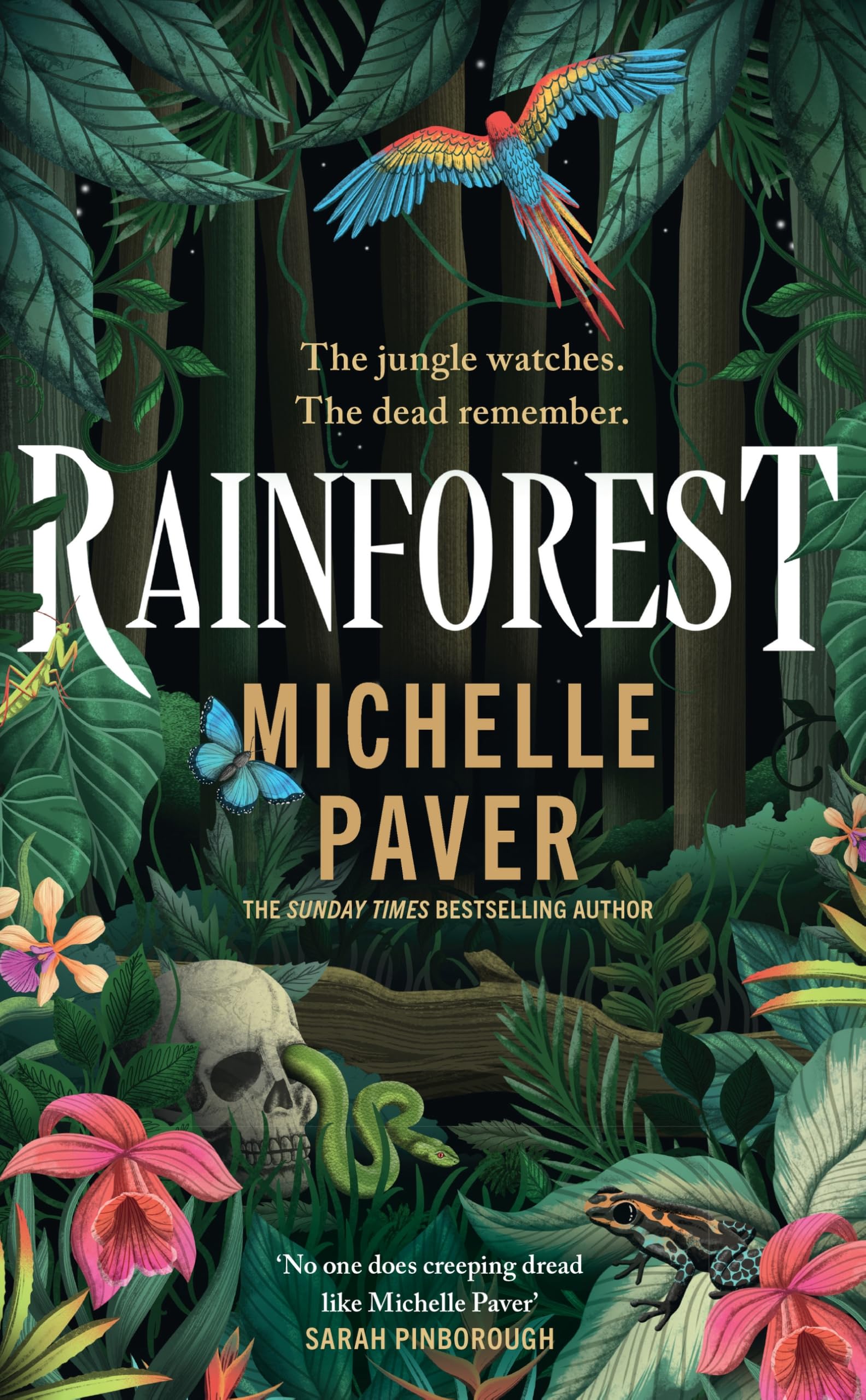 Rainforest