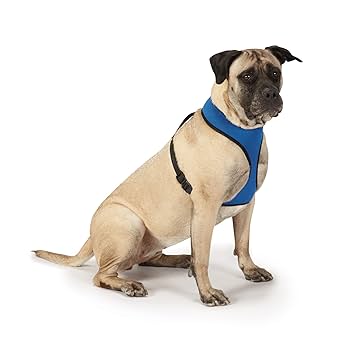 Casual Canine ZA888 24 19 Mesh Dog Harness, X-Large, Blue