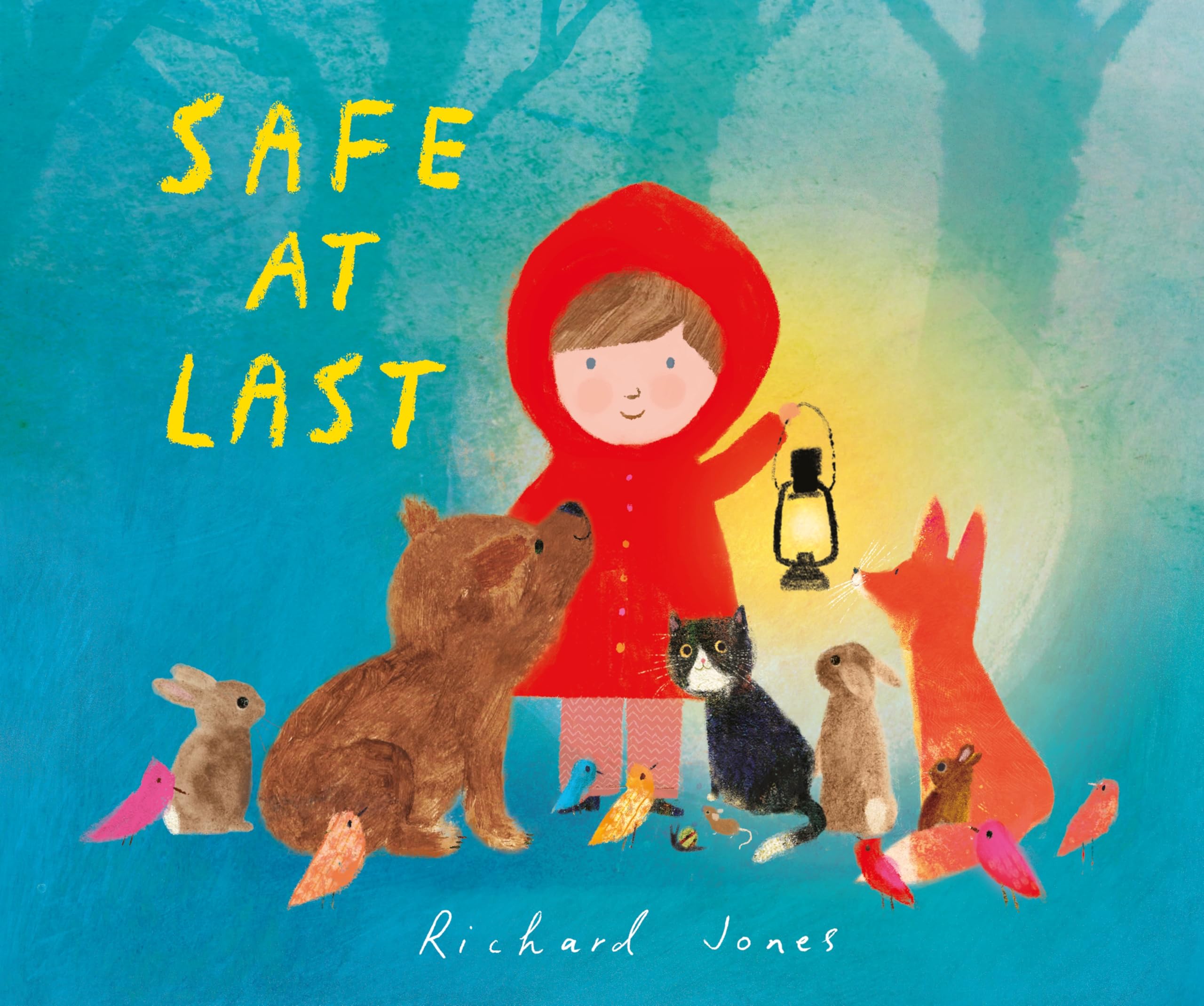 Safe at Last by Richard Jones (Hardback Book)