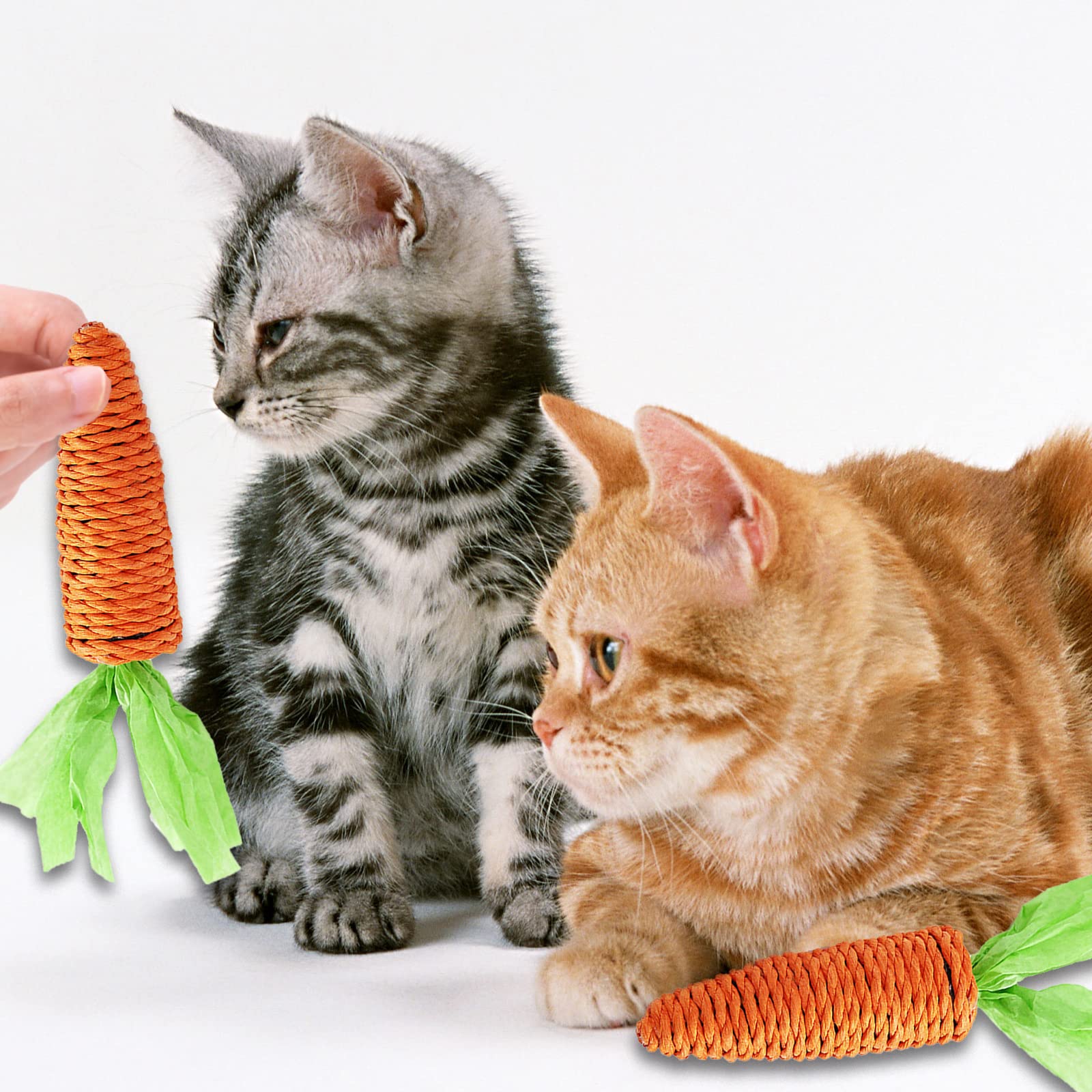 Amazon | 猫のおもちゃねこ おもちゃ2パックナチュラル
