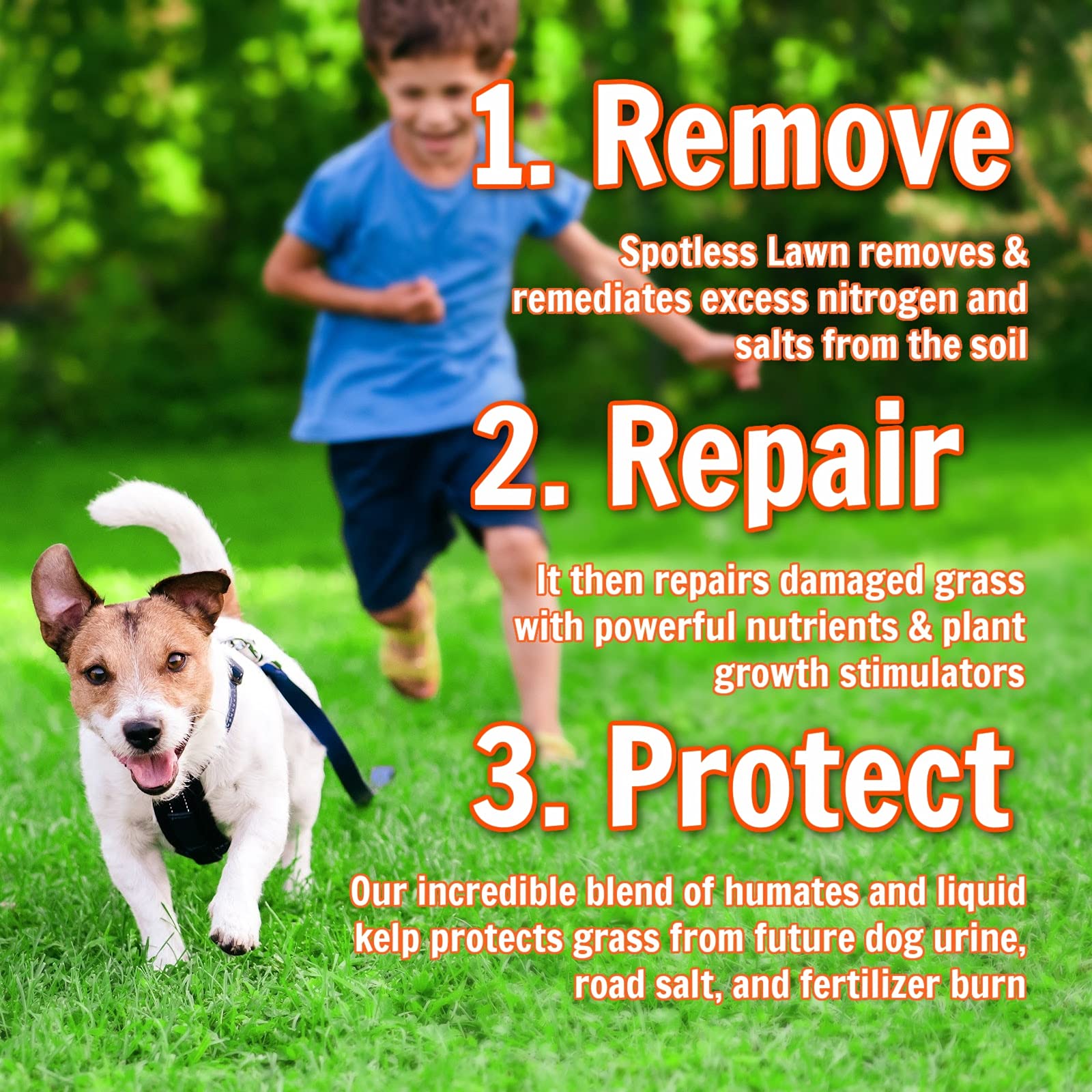 Buy Nature's Lawn & Garden Spotless Lawn Dog Spot Aid Revive