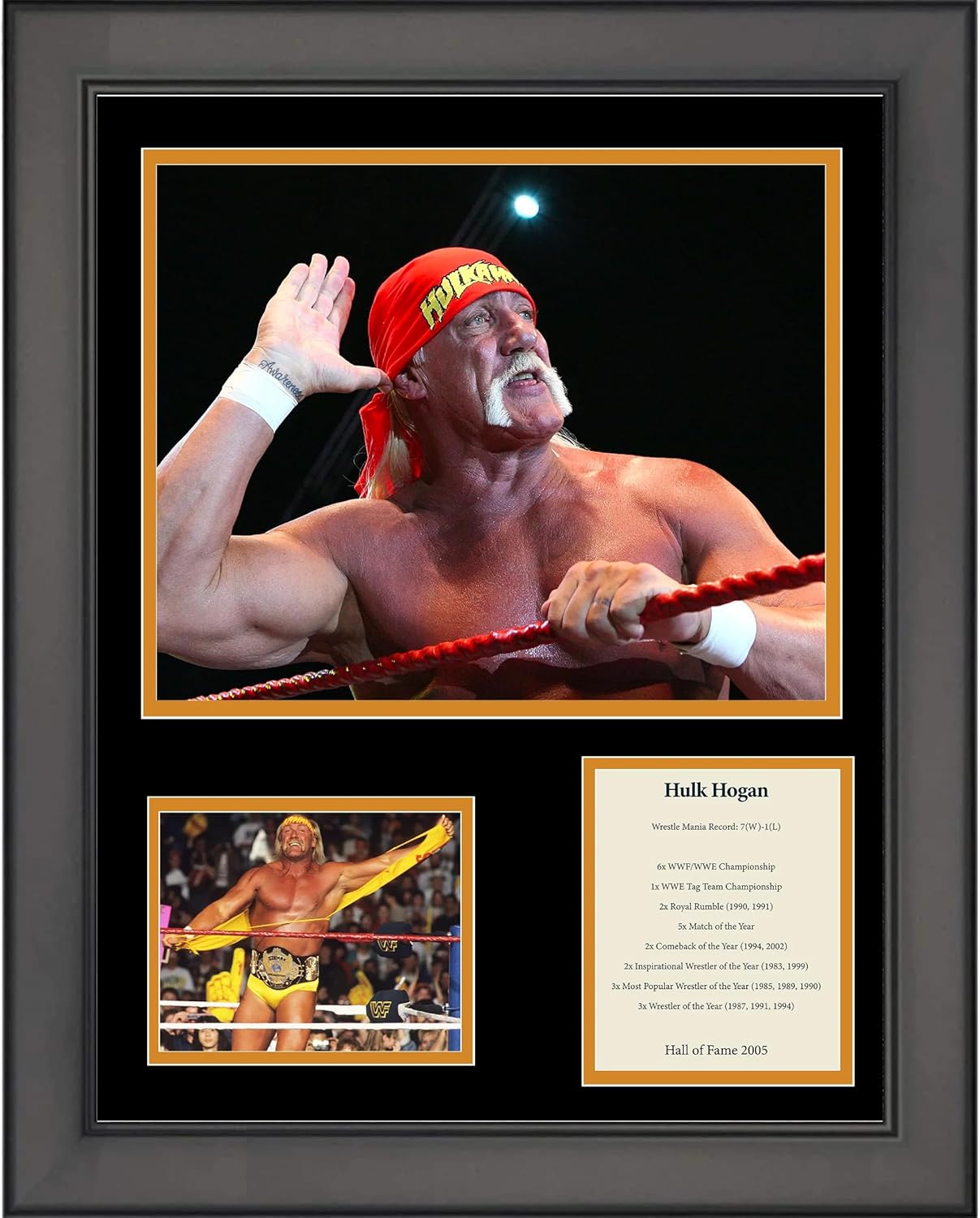 Framed Hulk Hogan Hall of Fame WWE 11"x14" Wrestling Three Photo Collage