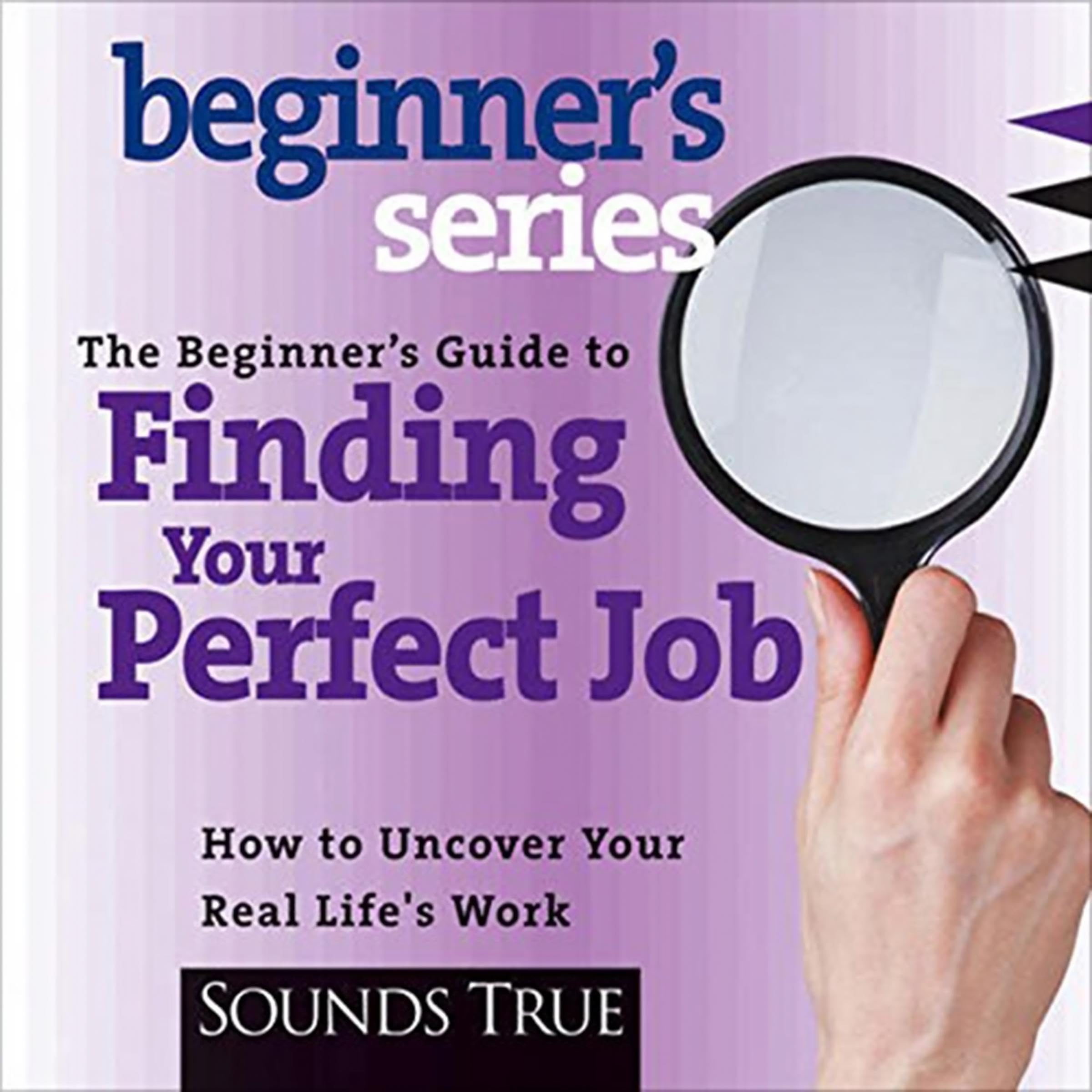 Cover art for The Beginner’s Guide to Finding Your Perfect Job