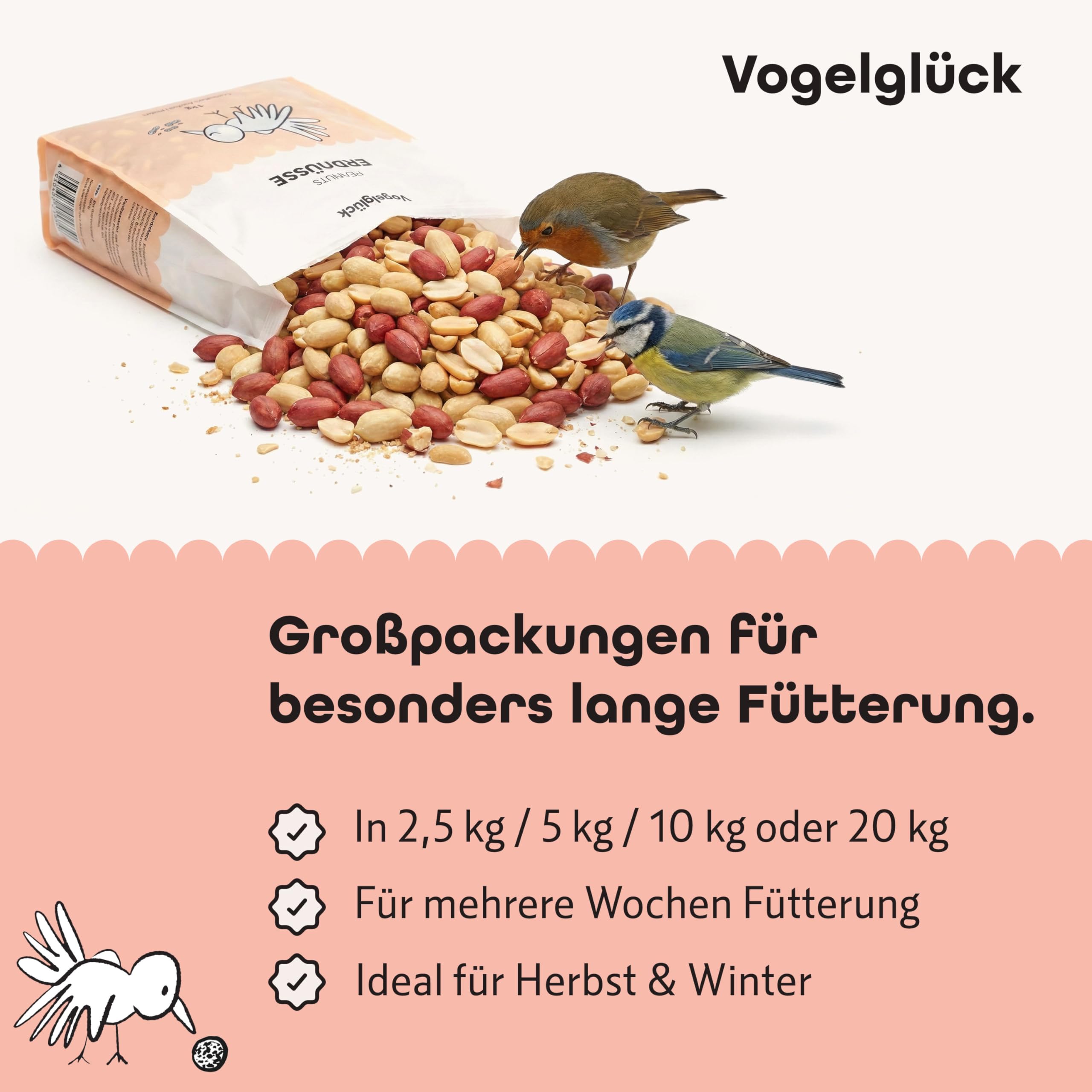 Vogelglück Erdnusskerne Vogelfutter 20 kg geschält – energiereich, schalenfrei, gereinigt und Sortiert – Erdnüsse für Nussspender, Silo, Futtertisch und Bodenfütterung, geeignet für Wildvögel