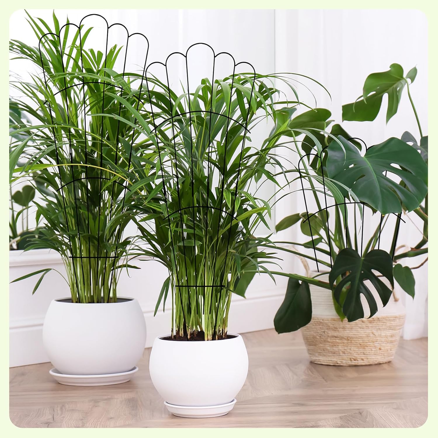 LEIFIDE 2 Pcs 33in Plant Trellis for Climbing Plants Indoor, Expandable Large Metal Trellis for Potted, Heavy-Duty Tall Rustproof Houseplant Support for Flowers Vine Ivy Pothos Hoya Monstera