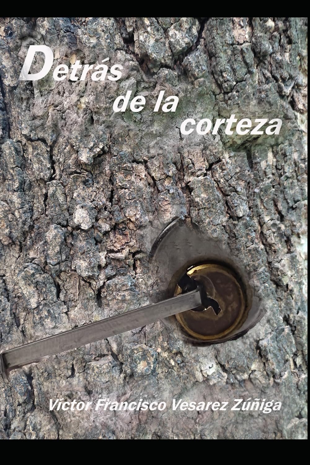 Detrás de la corteza