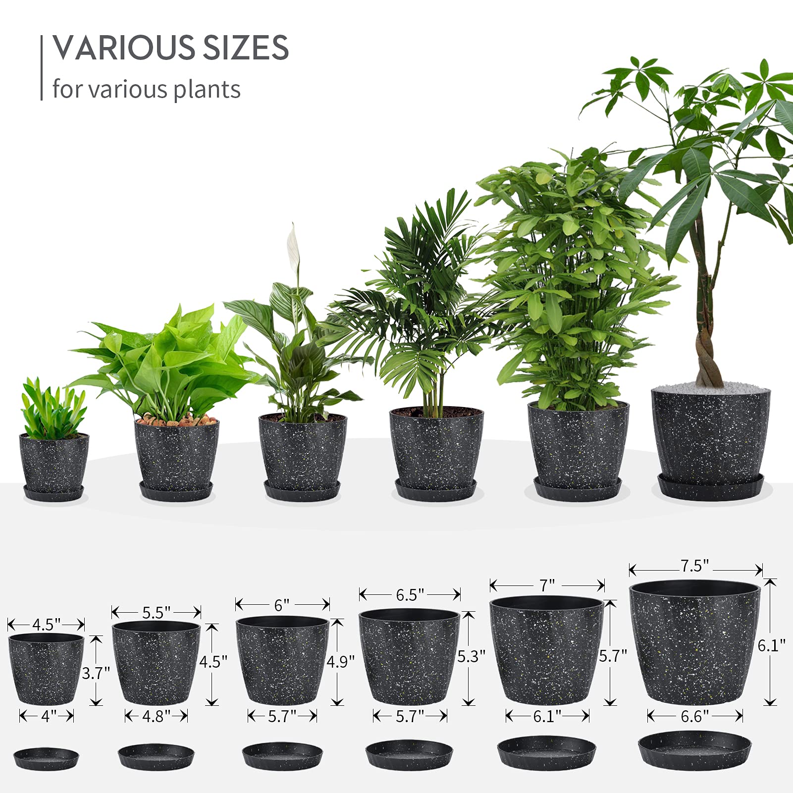 Set of 6 Plastic Planters with Saucers ,7.5/7/6.5/6/5.5/4.5 Inch Pots with  Drainage Hole and Tray for All Indoor Plants, Flowers, Snake Plant and  Succulents ,Black : Amazon.in: Garden & Outdoors