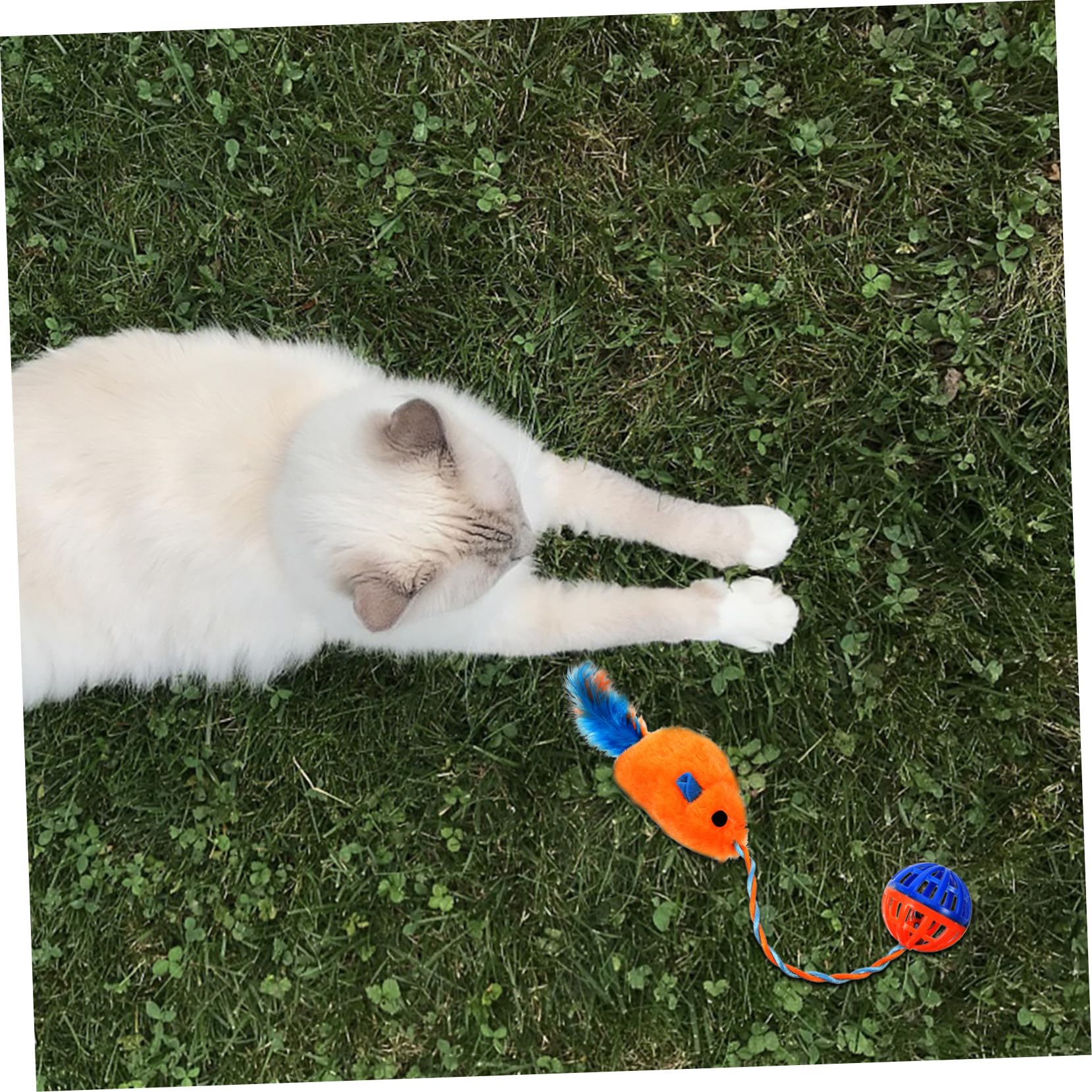 Jouet avec Clochette Interactif en Peluche et Plastique Soulage L'ennui et Stimulation des Chatons pour Chaton pour Jeux D'intérieur
