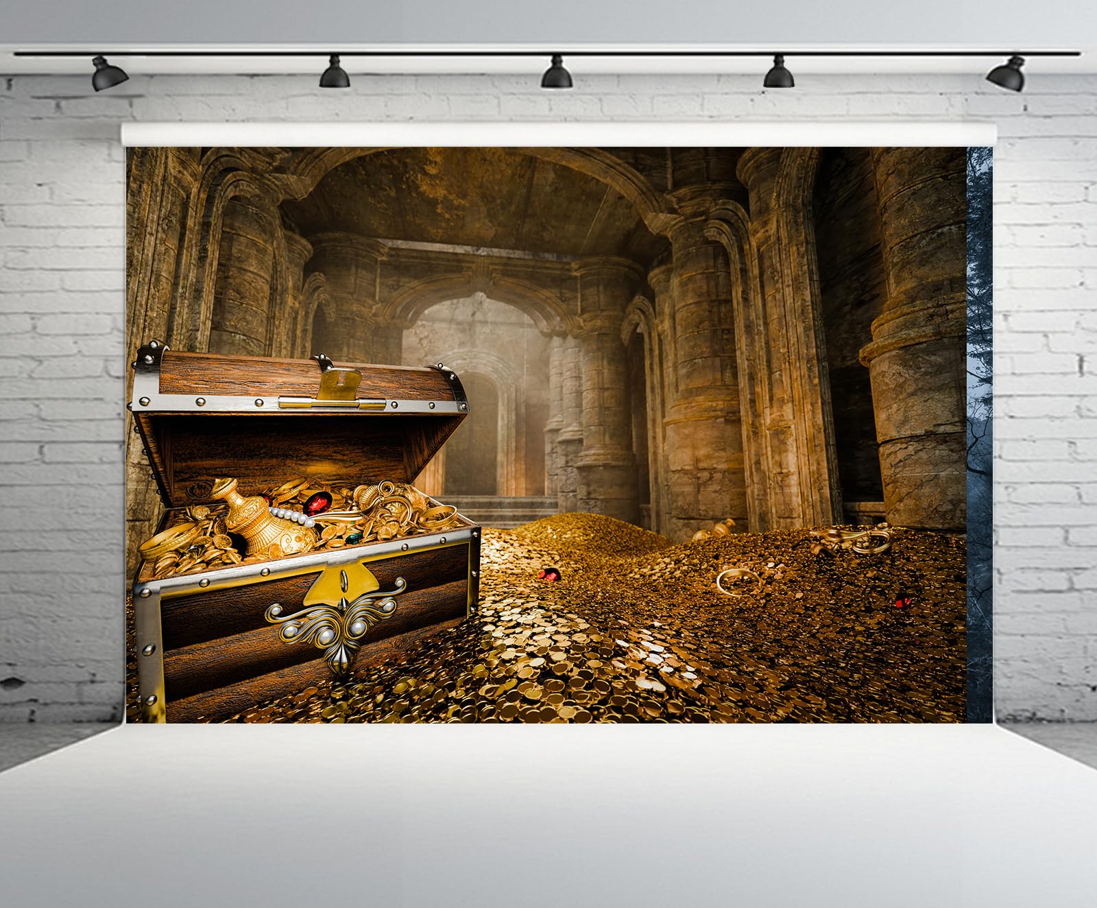 TREASURE ナイトガーデン ラキドロ アサヒ Amazon.com : chnywork 7x5ft Treasury Hall Backdrop Gold Coins