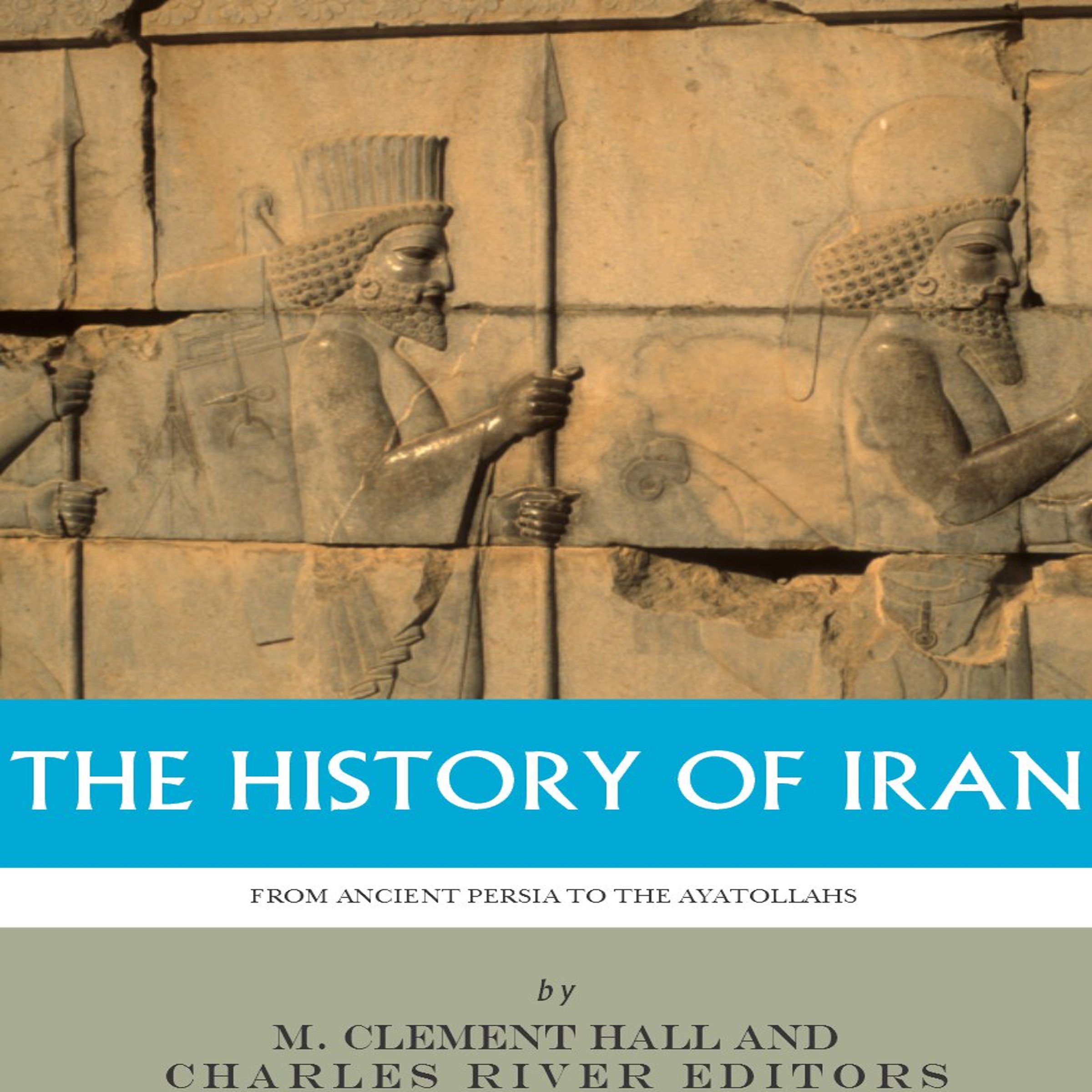 Cover art for The History of Iran from Ancient Persia to the Ayatollahs