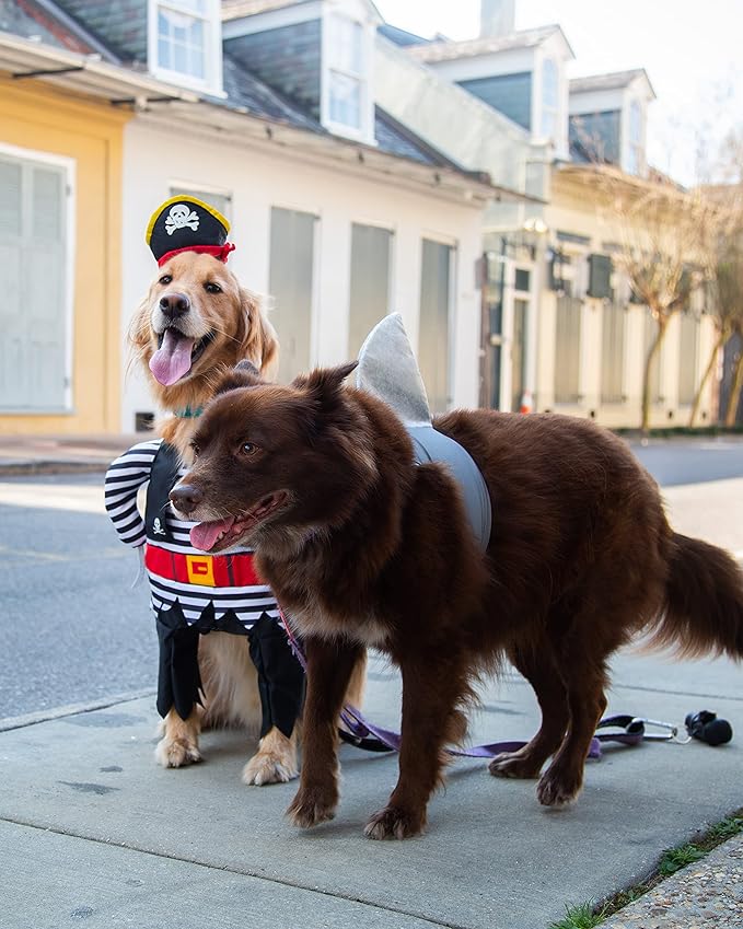 Disfraz de Tiburón para Perro Grande Pet Krewe Talla L miniatura 8