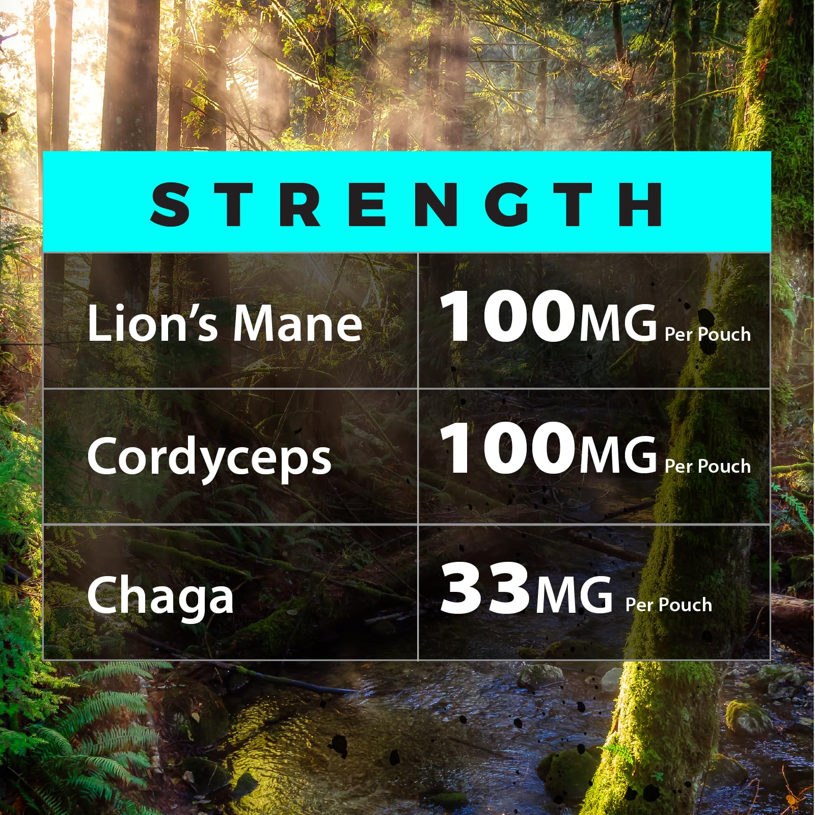Fully Loaded Alpha Mushroom Pouches - Adaptogen Nootropic Pouches (5-Pack, Vanilla) - Lion's Mane, Cordyceps, & Chaga - 5 cans, 15 Pouches per can - Functional Mushrooms - Made in the USA — Amazon image 8