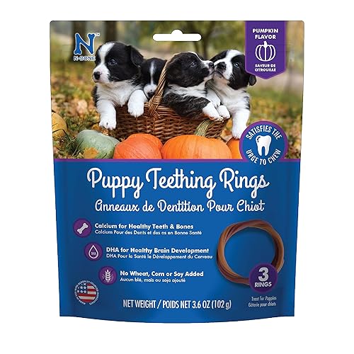 N-Bone Puppy Teething Ring Pumpkin Flavor (3 count)
