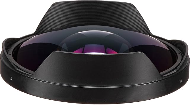 0.3X Precision Engineered Fisheye Lens Compatible with Panasonic AG-CX370 (Ultra-Wide View)
