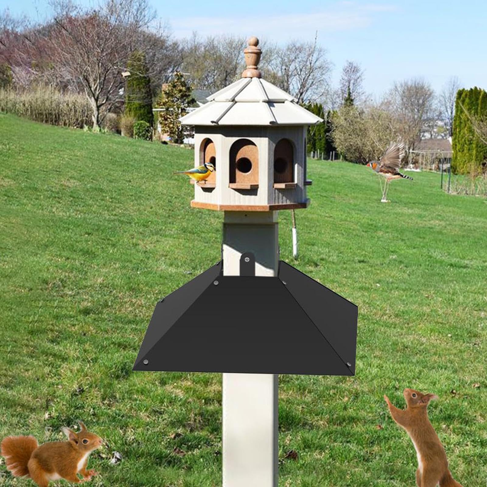 Comedero para pájaros, deflector de ardilla, protector de ardillas, deflector a prueba de ardillas, escudo de ardilla, deflector de ardilla de metal, protector de ardilla, protector de casa de pájaros | Acero Inoxidable Accesorios de jardín, poste de made
