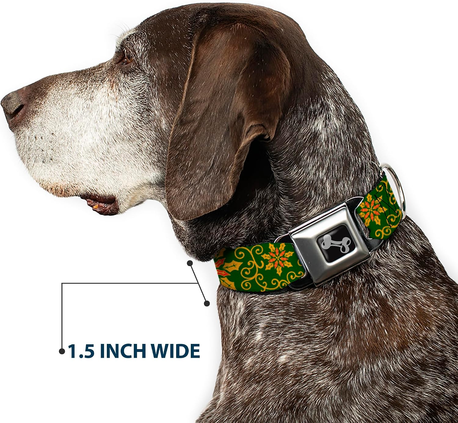 Buckle-Down Holiday Holly Green/Gold/Red Dog Collar Bone, Wide Medium/16-23"