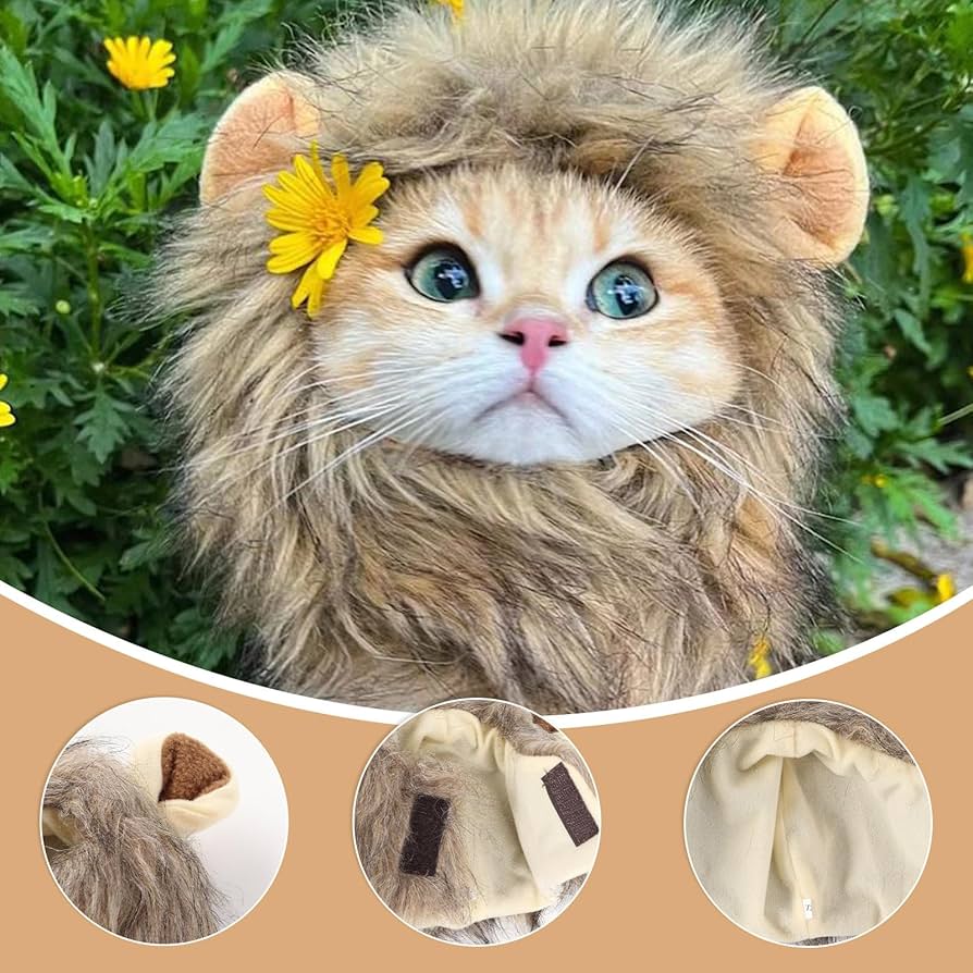 Amazon | Amzbarley 猫帽子 ライオンに変身 ウィッグ 耳付き