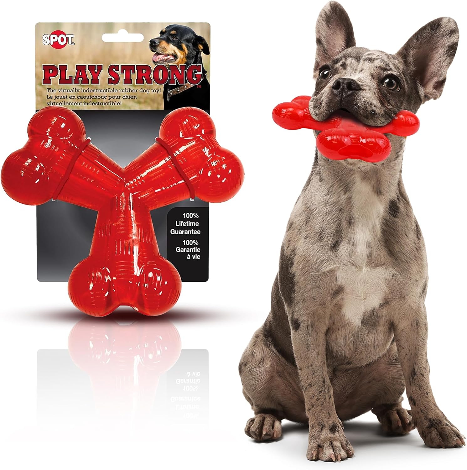 SPOT by Ethical Products – Play Strong – Trident Bone – Dog Toy for Aggressive Chewers Interactive Durable Dog Toy Red 6-Inch