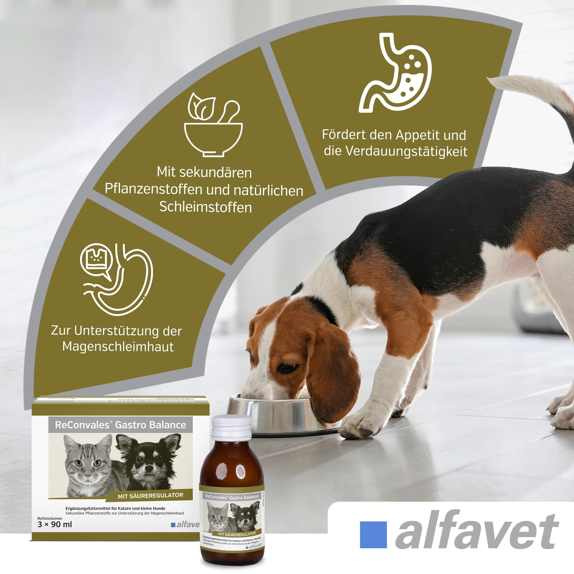 Alfavet, ReConvales Gastro Balance dla kota i psa, do pielęgnacji błony śluzowej żołądka z regulatorem kwasowości, pasza uzupełniająca, 3 x 90 ml