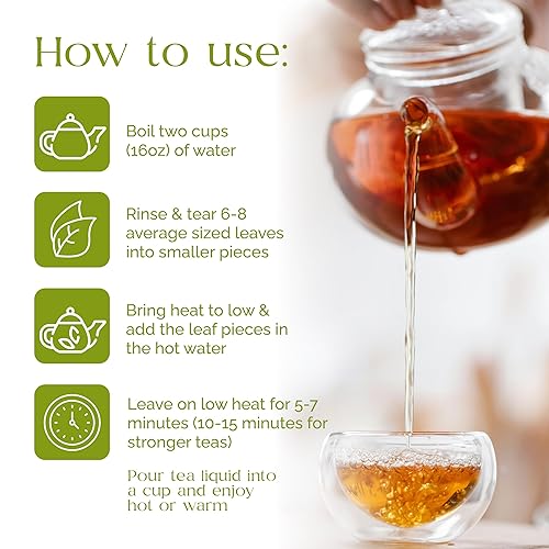 Miniatura 4 de Organic Pharmacist Hojas secas de guanábana, hoja de graviola, guanabana, guyabano, usadas para té y extracto, amargos de guanábana para té, 2.12