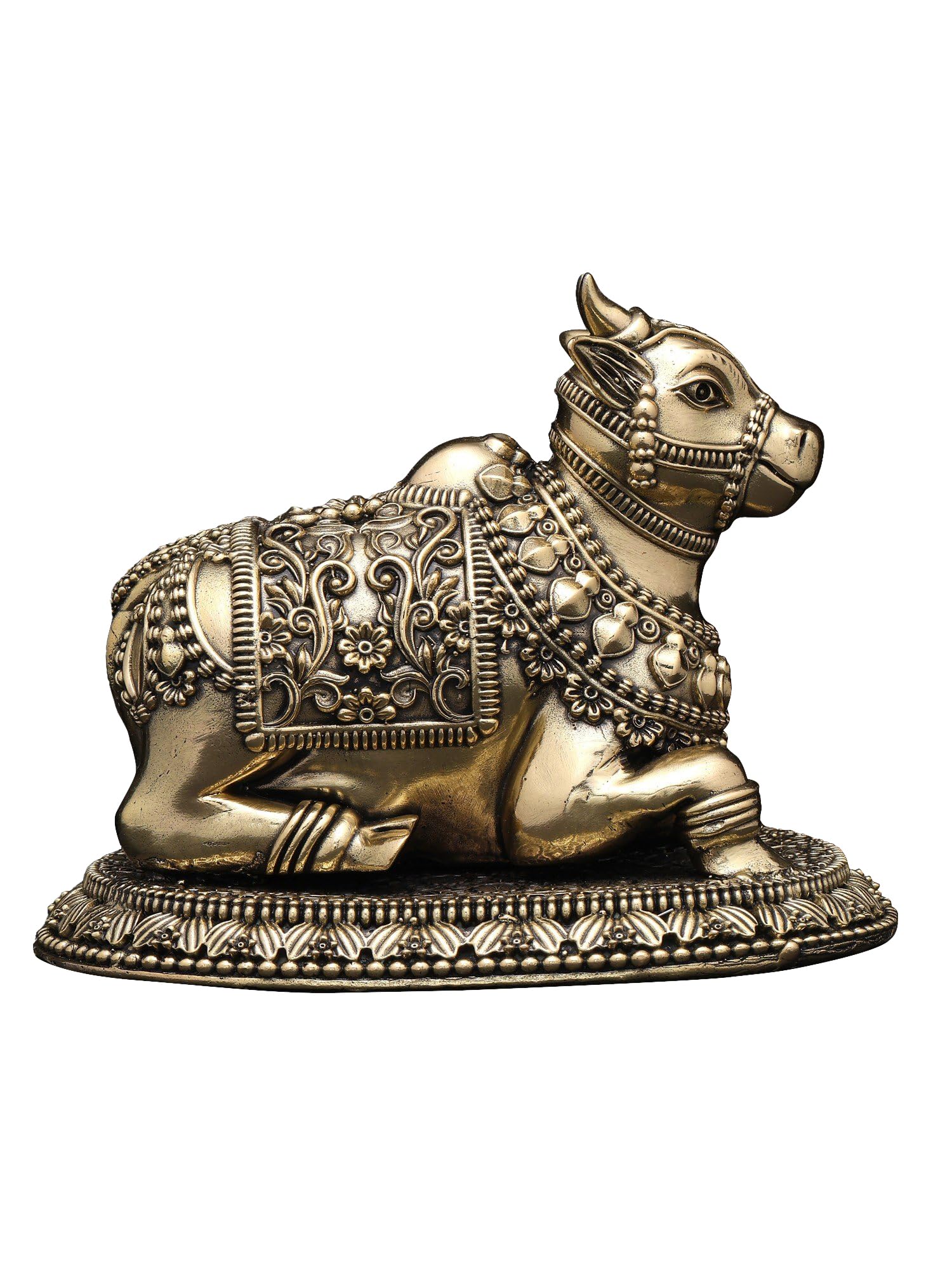 Amazon.in: Exotic India: Shiva