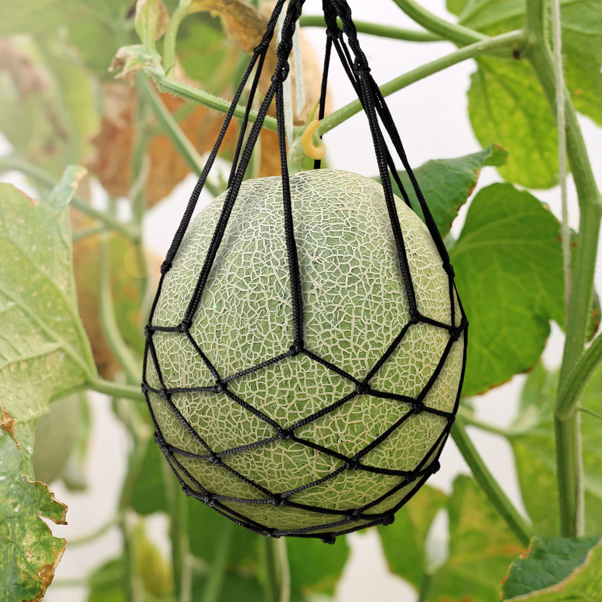 Melonen-Hängematte, Wassermelonennetze, Melonen-Hängematte für Rankgitter, robuste Wassermelonennetze, perfekt für den Anbau von Cantaloupe, Schwarz, 10 Stück Garten