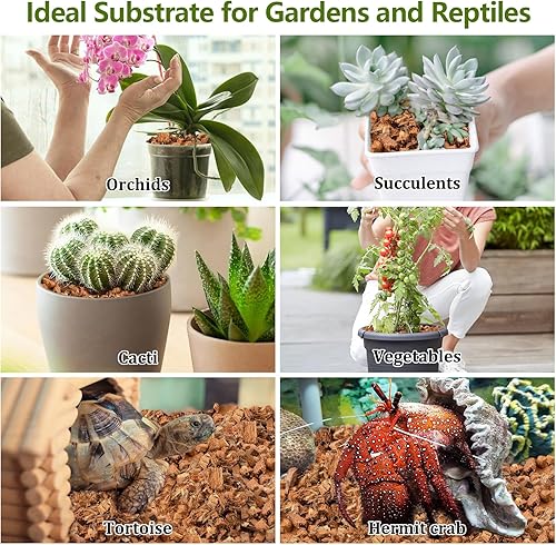 Miniatura 7 de Legigo Chips de cáscara de coco de 1.1 libras - Chips de coco 100% orgánico de fibra de coco mezcla de tierra para macetas con bajo equilibrio de EC