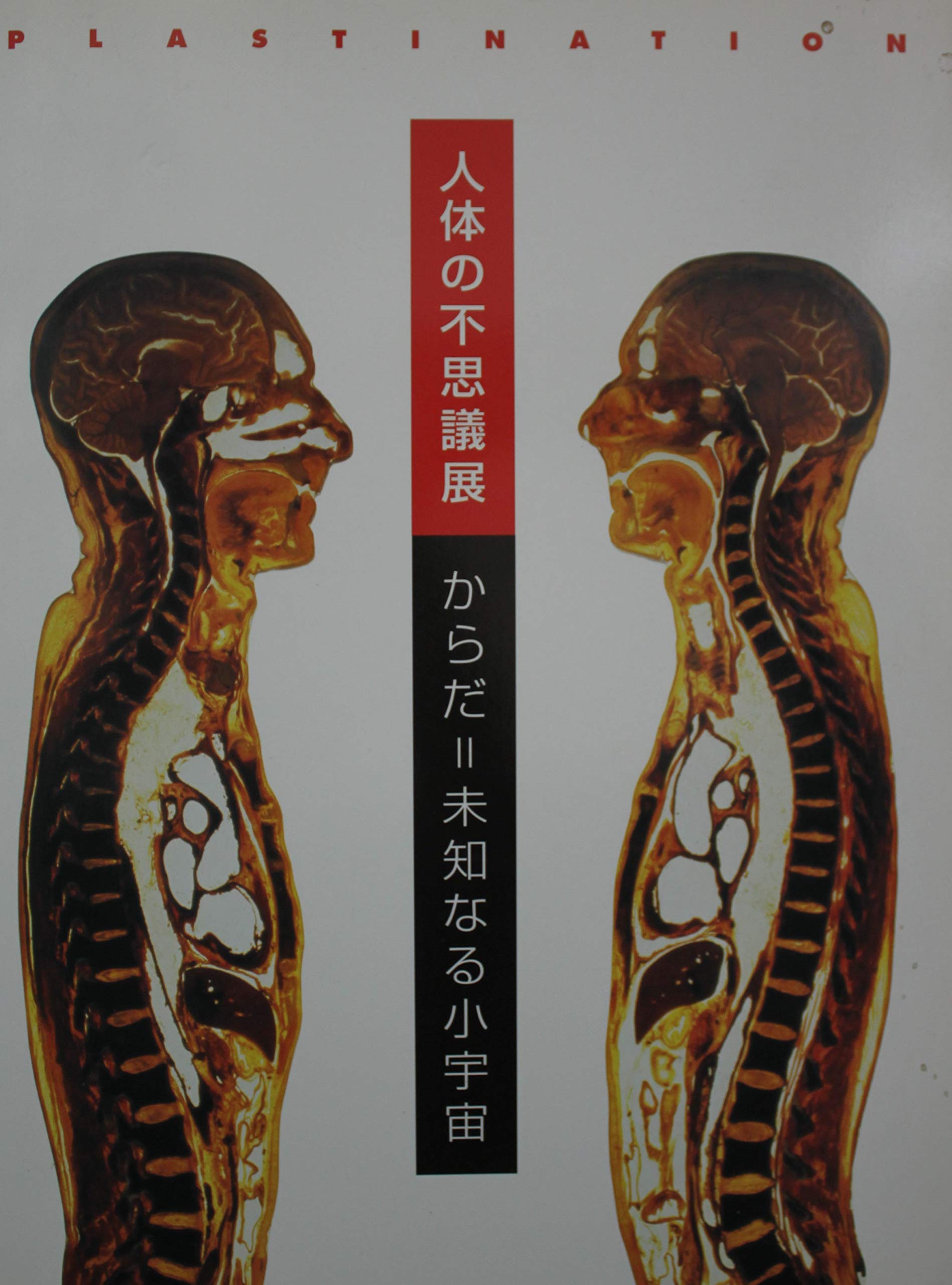 驚きの安さ 人体の不思議展 Www Coupland Com