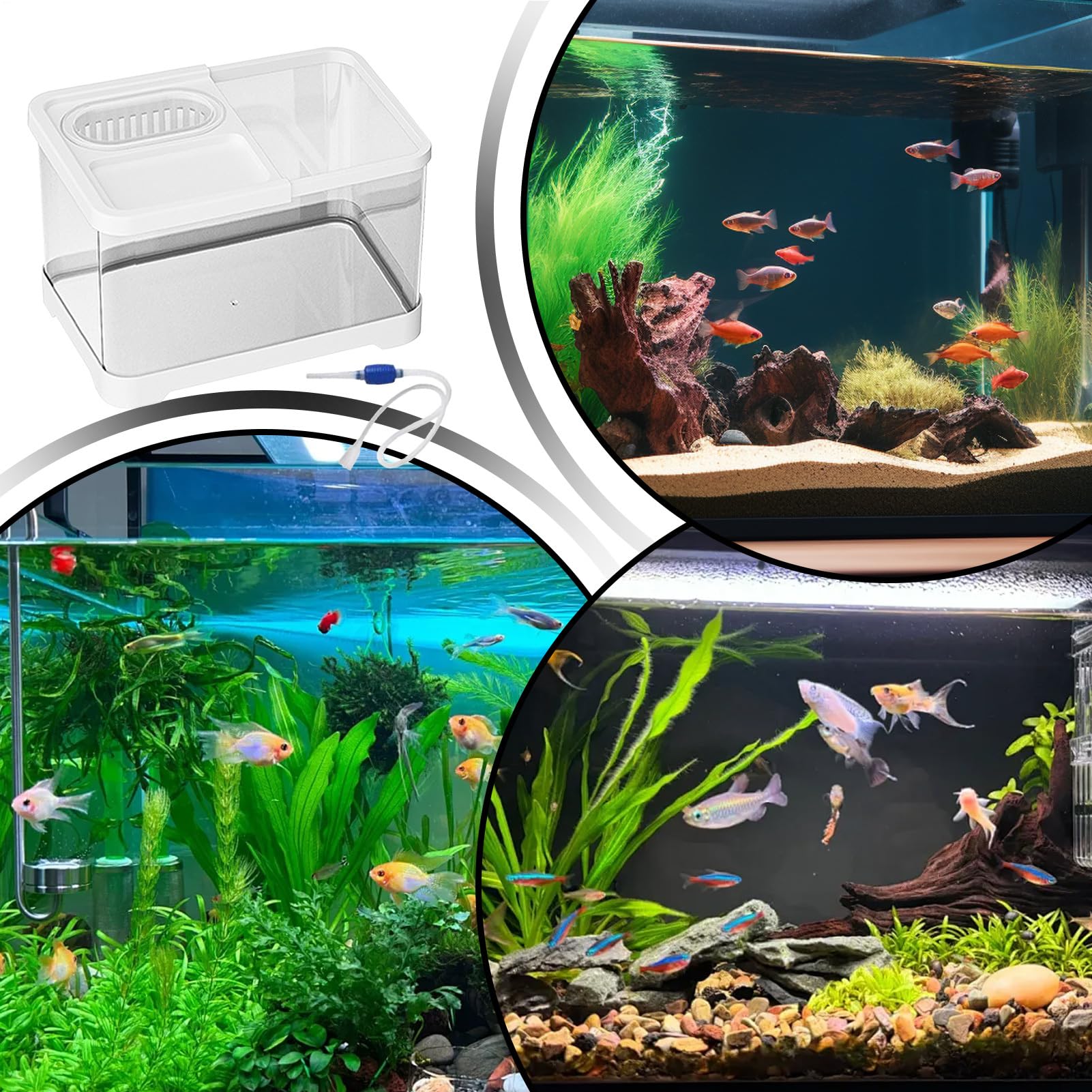 Pecera,Peceras Transparentes para Peces Betta con Filtro | Bola Decorativa Transparente para Escritorio de Oficina Hogar Sala Dormitorio para Medusas Caracoles Tortugas