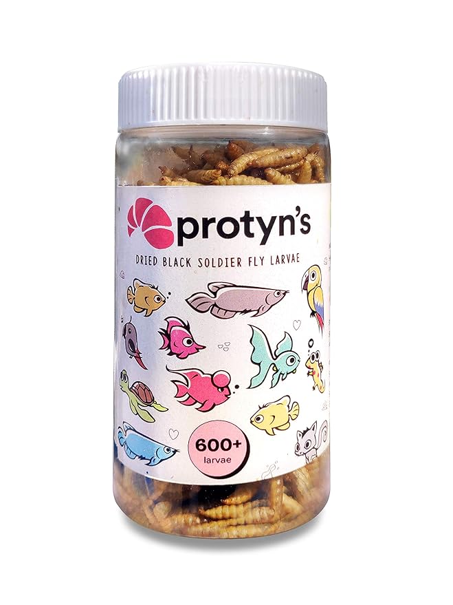 Protyn Whole Dried Black Soldier Fly Larvae Adult Treat Dry Food for