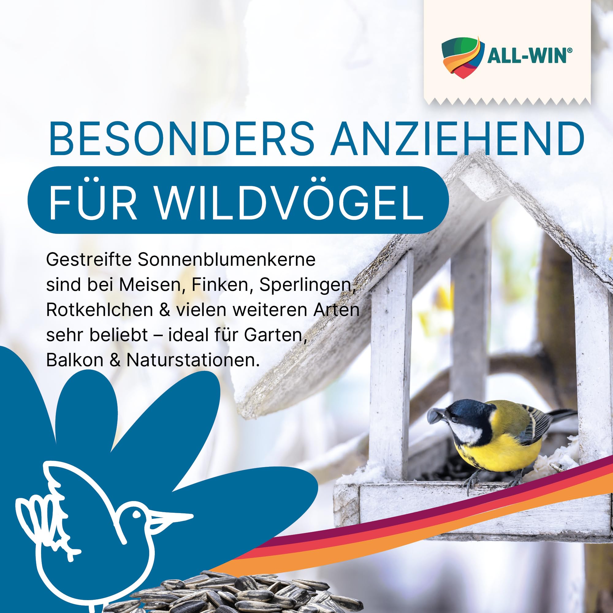 ALL-WIN gestreifte Sonnenblumenkerne 25 kg | Vogelfutter für Wildvögel | Hochwertige Sunflower Seeds | Ideal für Meisen, Finken & Gartenvögel | Naturrein, gereinigt & energiereich für Ganzjahresfütter
