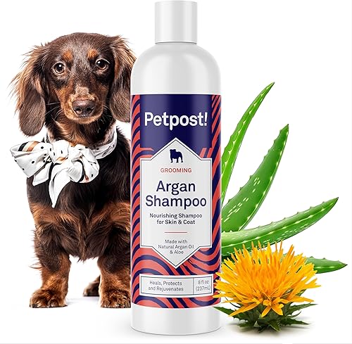 Petpost | Champú de argán para perros. Champú para perros con aceite de argán y aloe. Hidrata la piel seca, suaviza el pelaje, restaura el brillo. 8