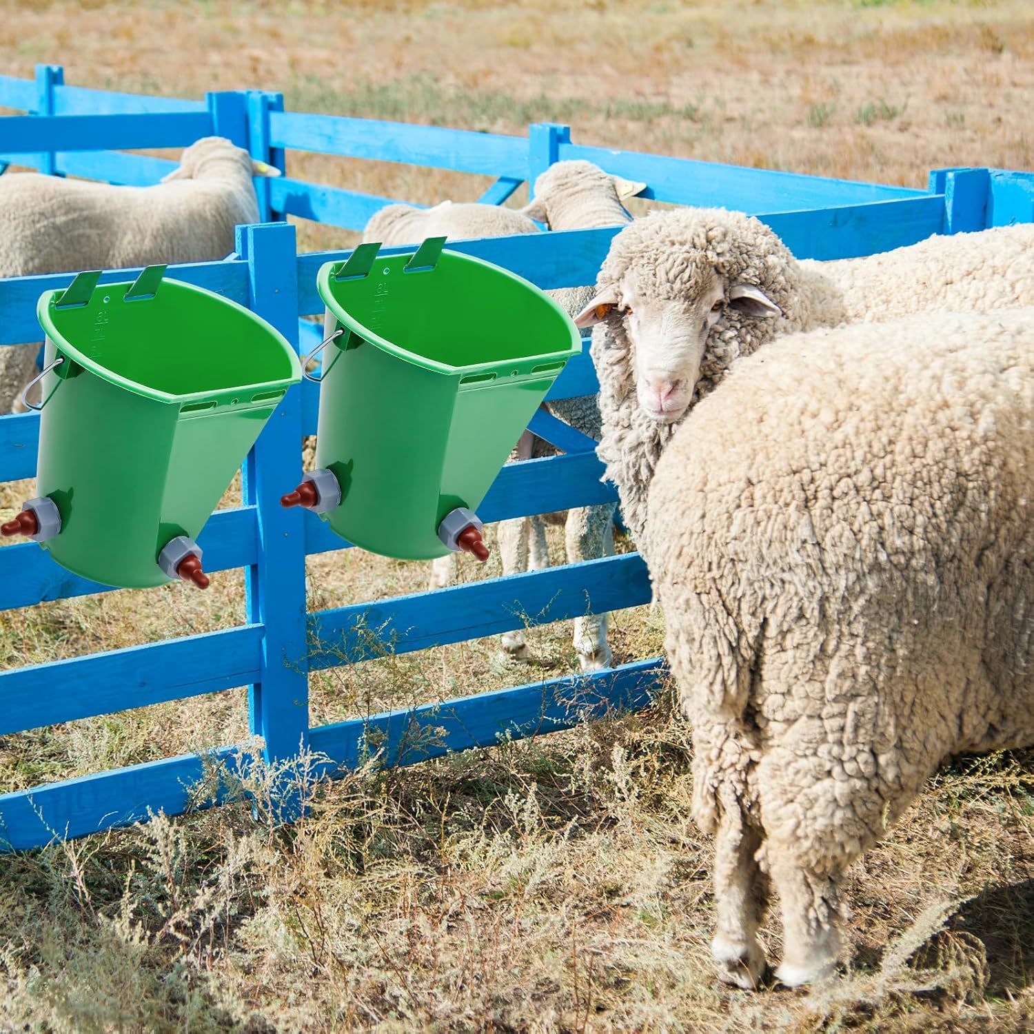 2 Pcs Lamb Milk Feed Bucket 8L High Capacity Plastic Goat Milk Feeding Bucket Multiple Nipples Animal Feeding Pot Green Lamb Feeder Bottle for Sheep Livestock Cattle Farm Animal(3 Mouths)