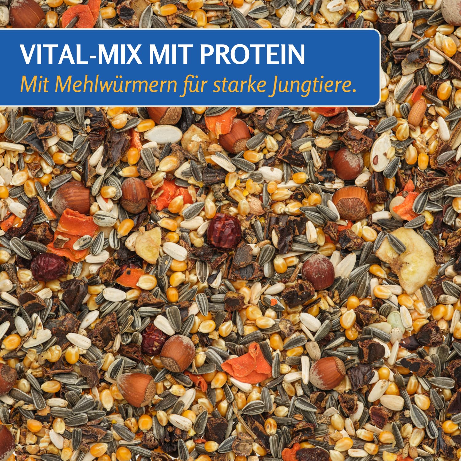 Leimüller Mangime Premium scoiattoli 5kg - Noci, Cereali & camole - Nutriente & naturale per scoiattoli e tamie - Qualità Austriaca dal 1609