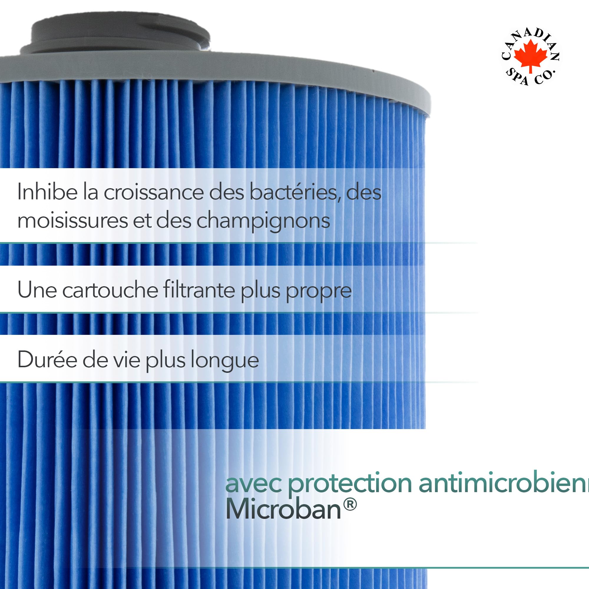 CANADIAN SPA CO. Glacier Silverstream Filtre Hot Tub Protection antimicrobienne Technologie ions d'argent Accessoires Whirl Pool