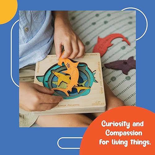 Miniatura 5 de Tiburones en peligro de extinción  Rompecabezas de madera multicapa para niños  Martillo, gran tiburón blanco, tiburón ballena, tiburón oscuro,