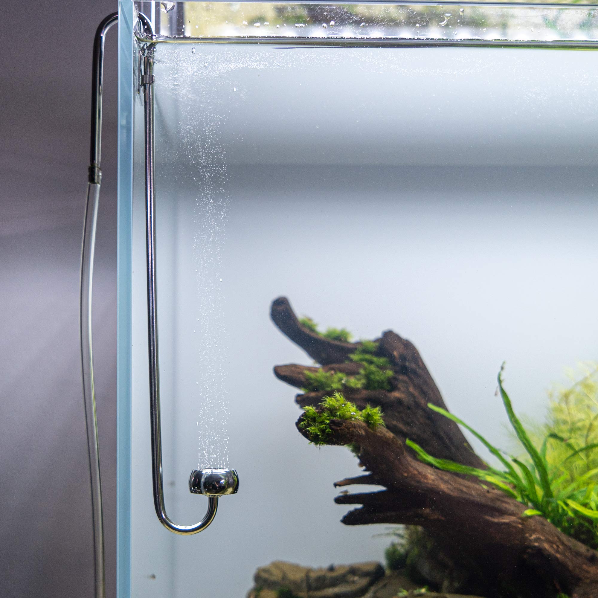 Measury Diffuseur de CO2 aquarium acier inoxydable, diffuseur aquarium - 250mm
