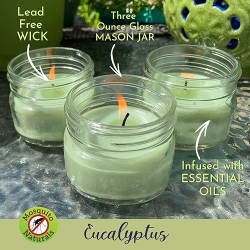 Miniatura 5 de Velas de eucalipto con aceites esenciales, fabricadas en Estados Unidos, juego de 3 unidades, para patio, terraza, uso en exteriores o interiores,