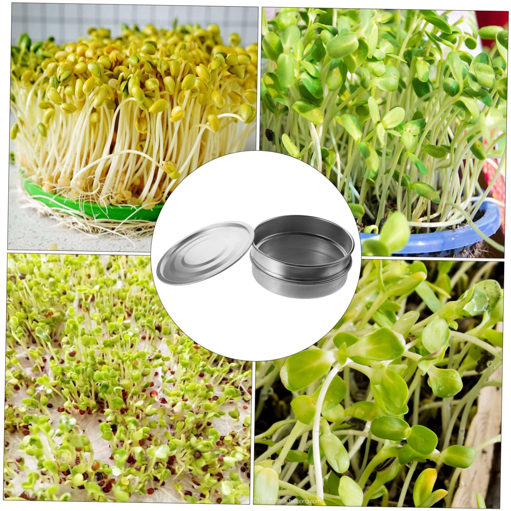 Gadpiparty Kit de Bandeja de Germinación de Acero Inoxidable, Cedazo de 20 CM, Drenaje Fácil, 1 Juego para Jardinería en Casa