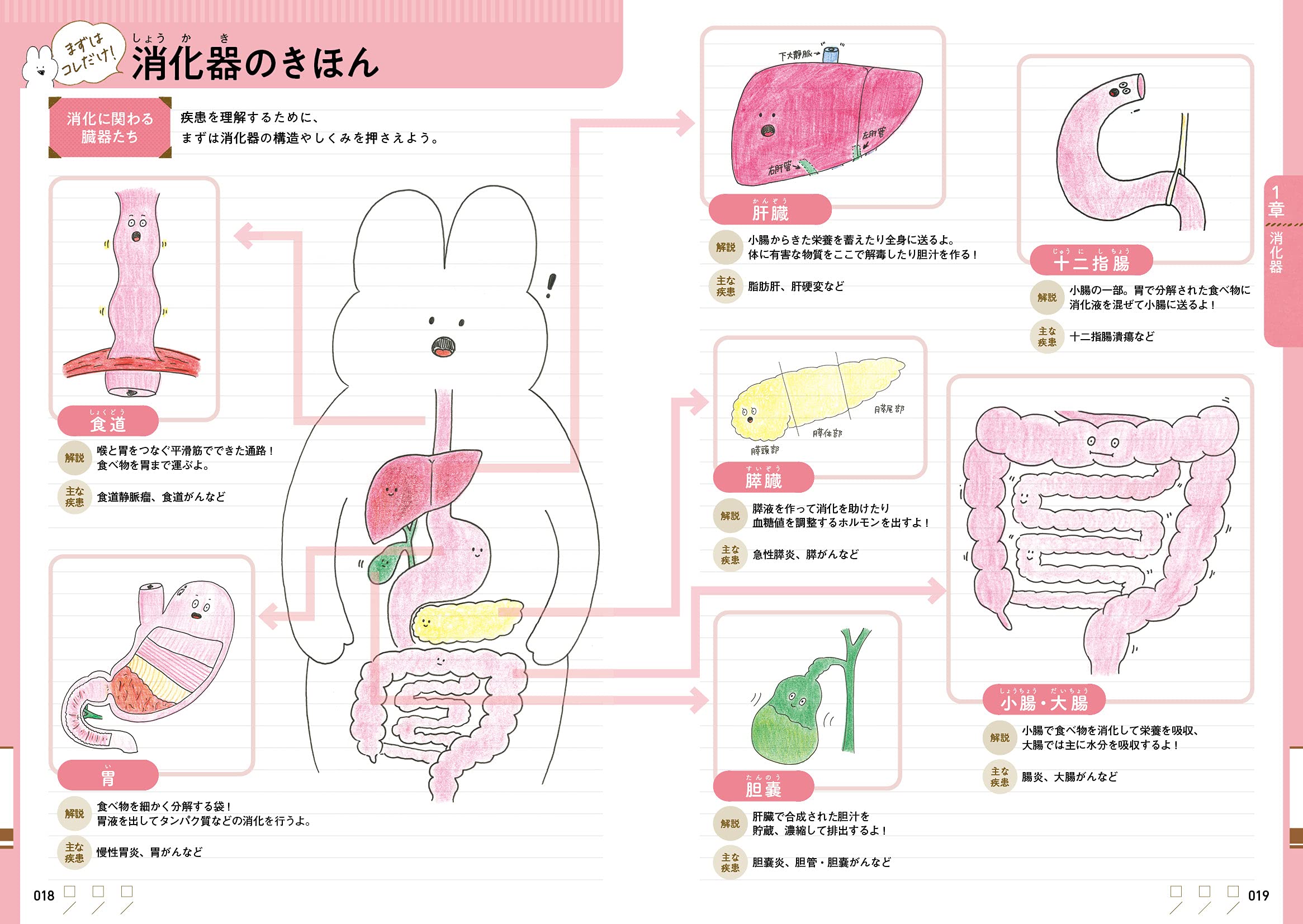 じにのみるだけ疾患 まとめイラスト じに 大和田 潔 本 通販 Amazon