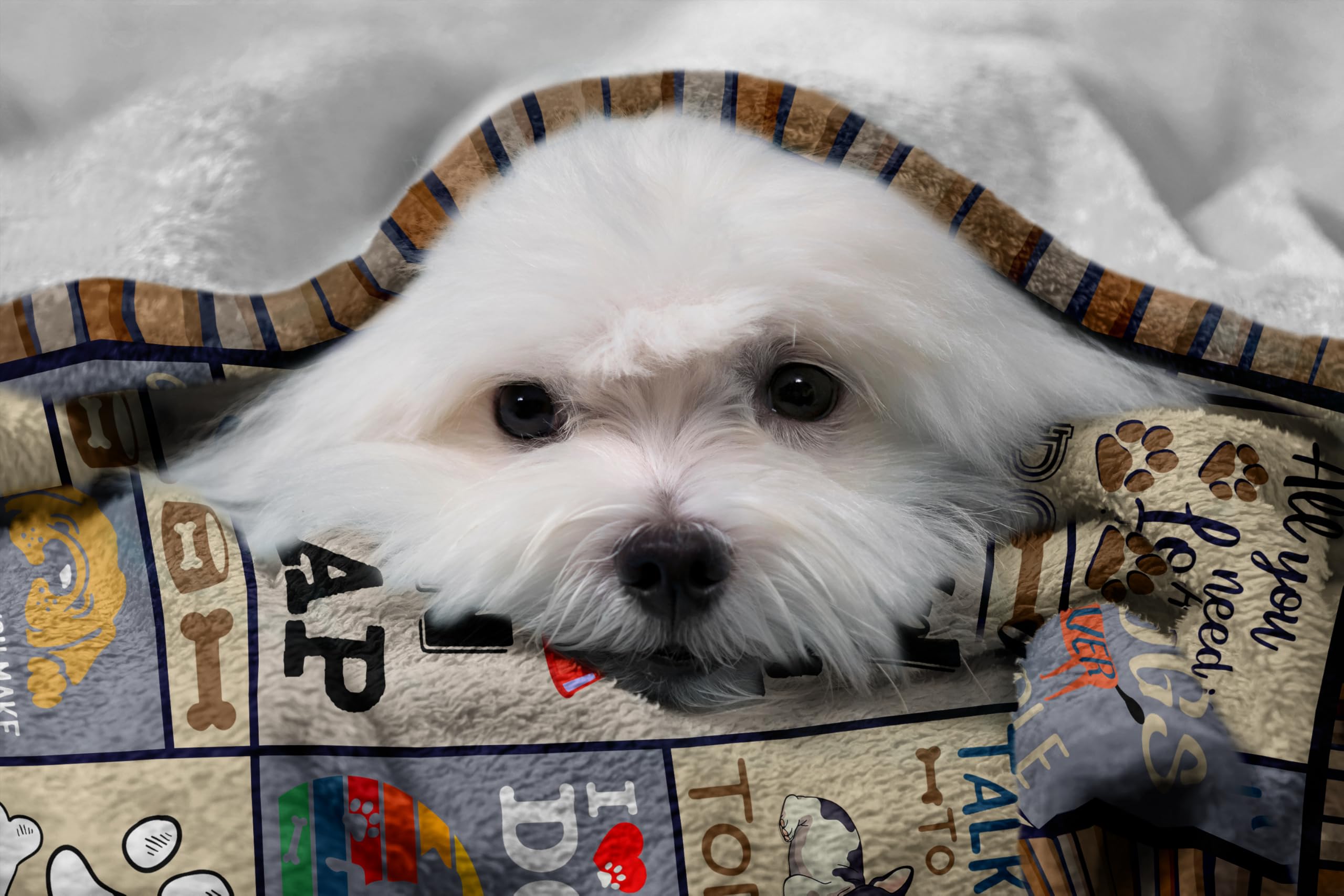 Gemütliche Dog Mom Decke – Perfektes Geschenk Für Hundefrauen Zum Kuscheln (127 X 152 Cm, Weiches Polyester)