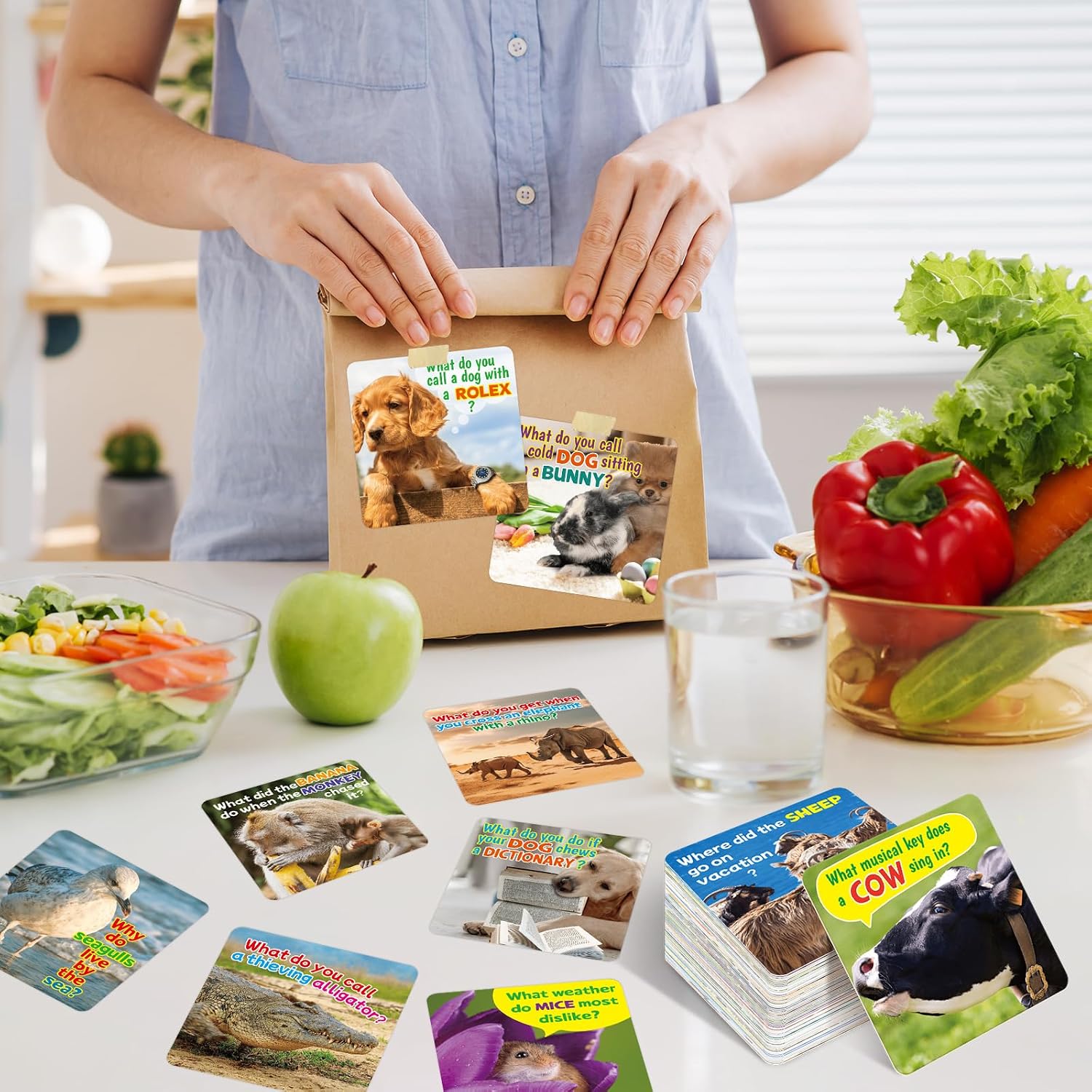Fancy Land 80 Lunch Box Jokes